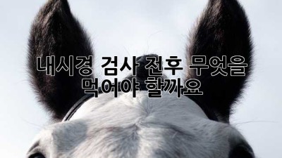 내시경 검사 전후, 무엇을 먹어야 할까요?