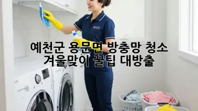 ✨ 예천군 용문면 방충망 청소, 겨울맞이 꿀팁 대방출! ❄️