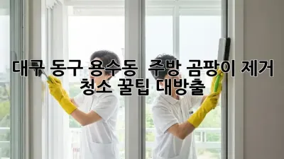 대구 동구 용수동 🏡 주방 곰팡이 제거 청소, 꿀팁 대방출! ✨